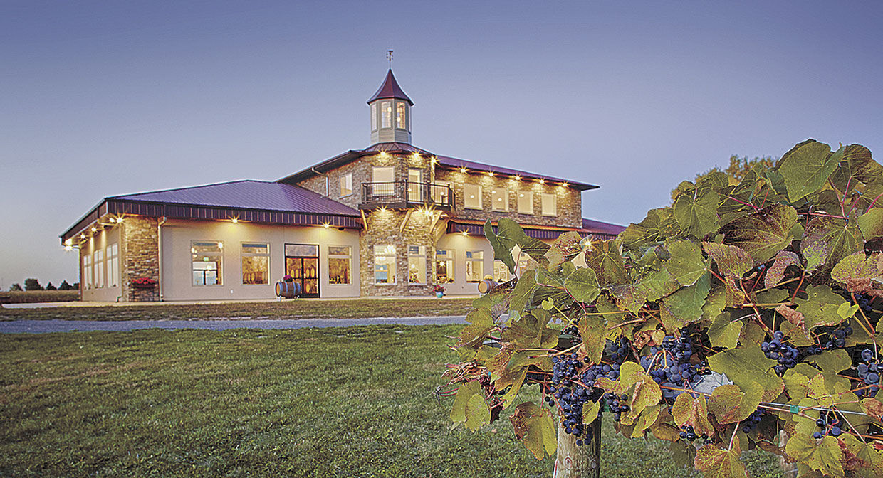 Winehaven_2.jpg